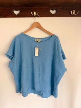 Anthropologie Cashmere Sky Blue Short Sleeve Knit Top
